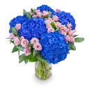 Bouquet of hydrangeas and spray roses